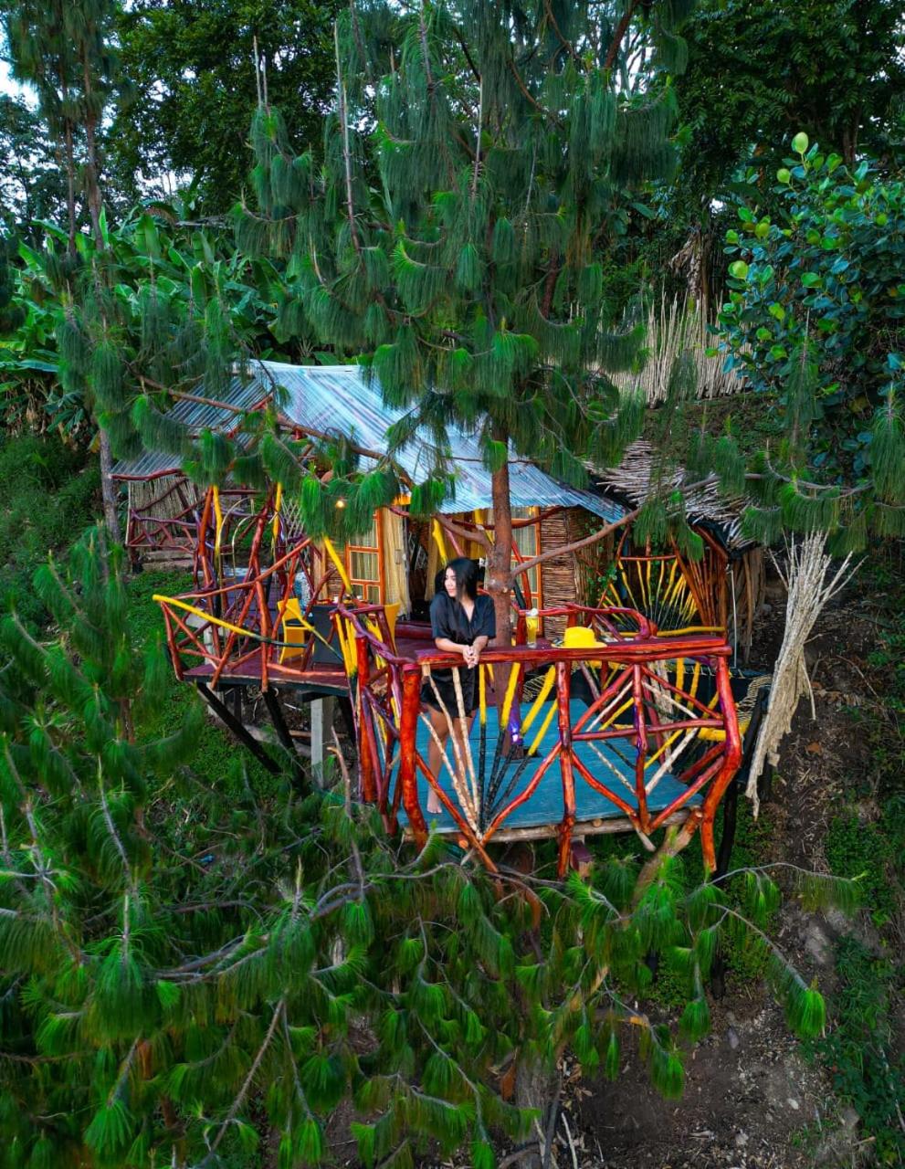 Surrounding environment 3, Nidos De Pajaros, Gigante