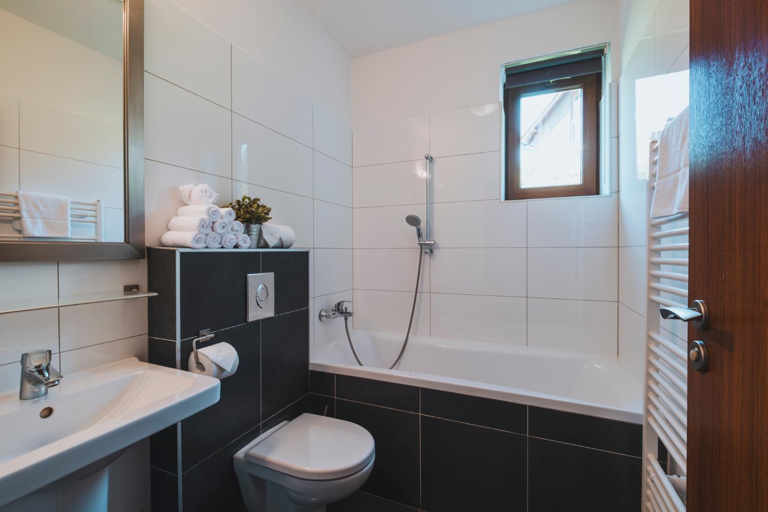 Bathroom, Vila nad jezerem Lipno, Český Krumlov