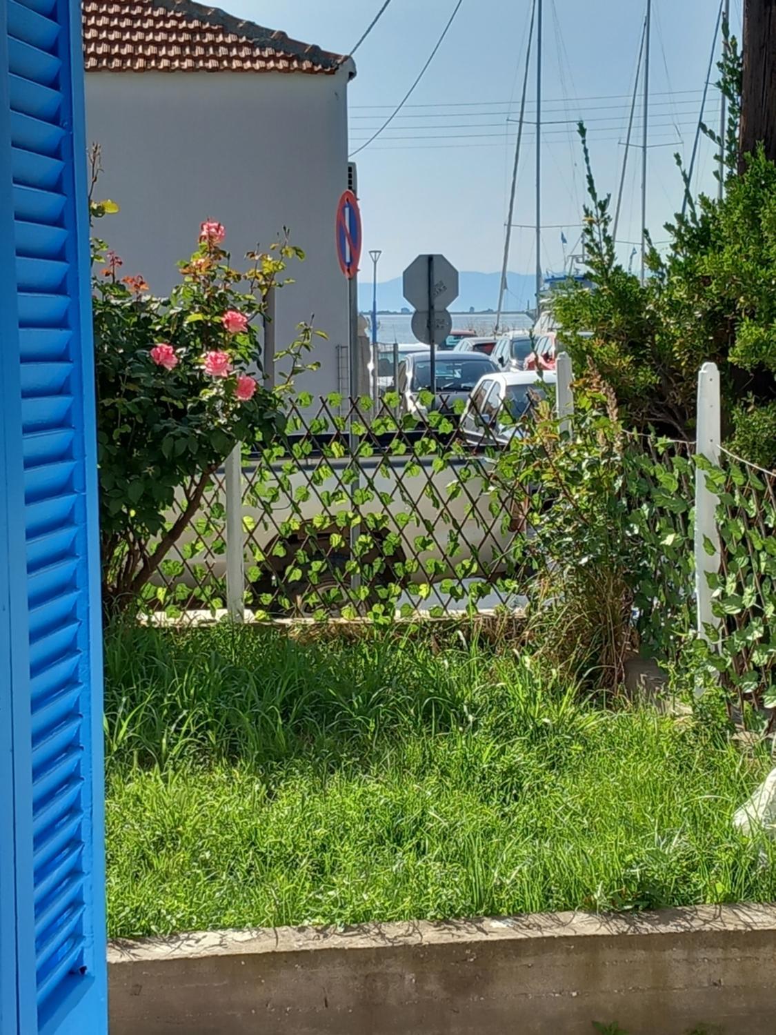 Garden 2, Elena Suites, East Macedonia and Thrace