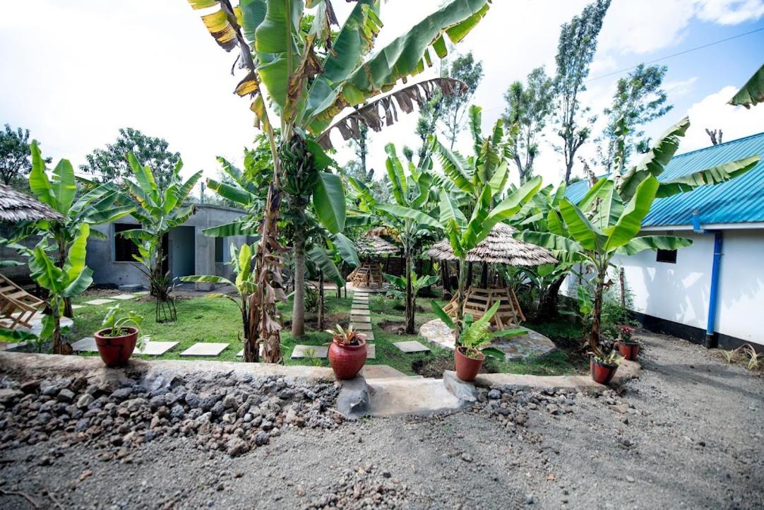 View 3, Wonderland Home, Arusha Urban