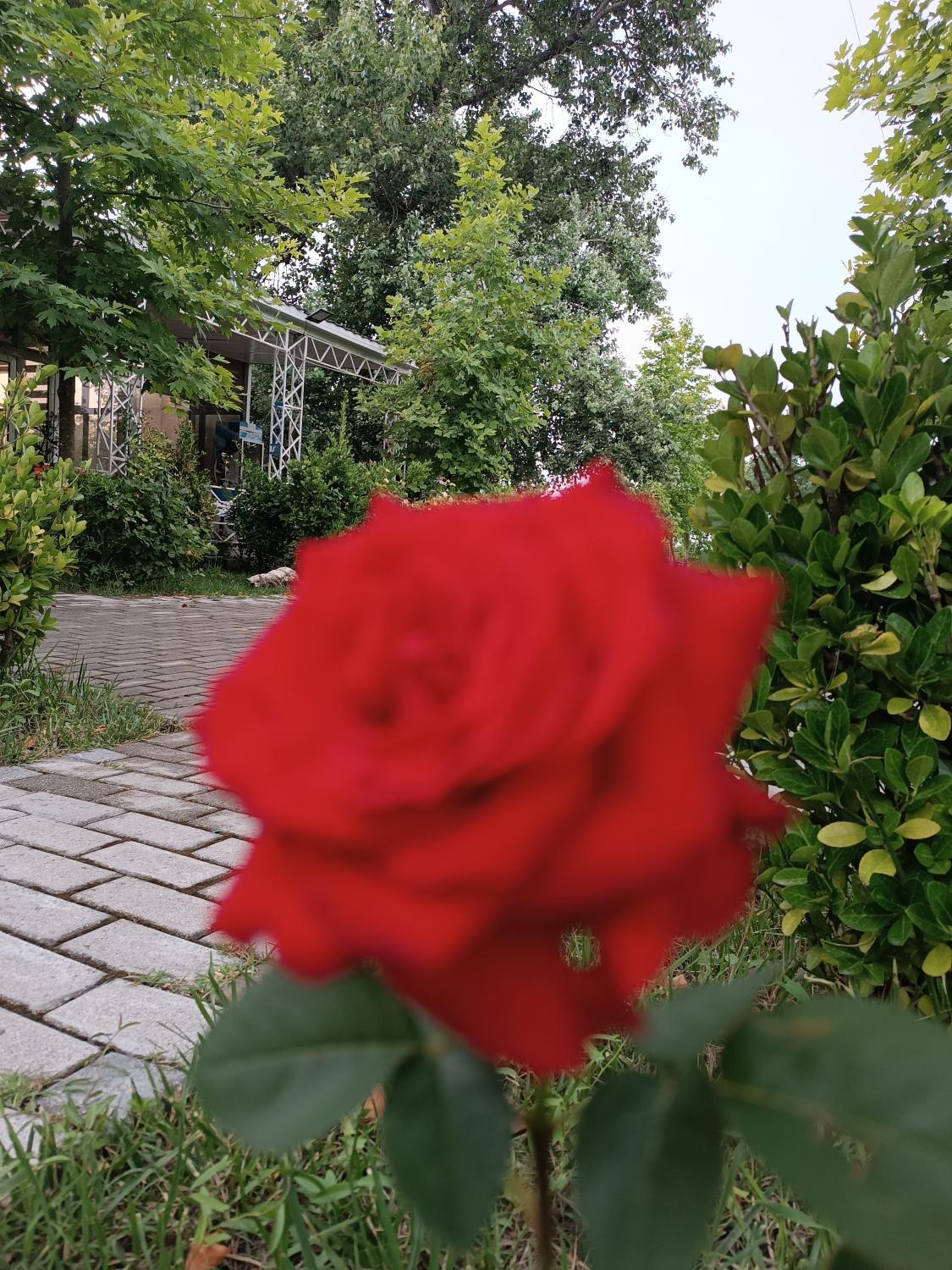 3, Gabala Vandam Bliss Hotel, Qəbələ