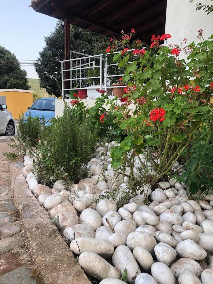 Garden 5, Geranium Apartments, Sarandës