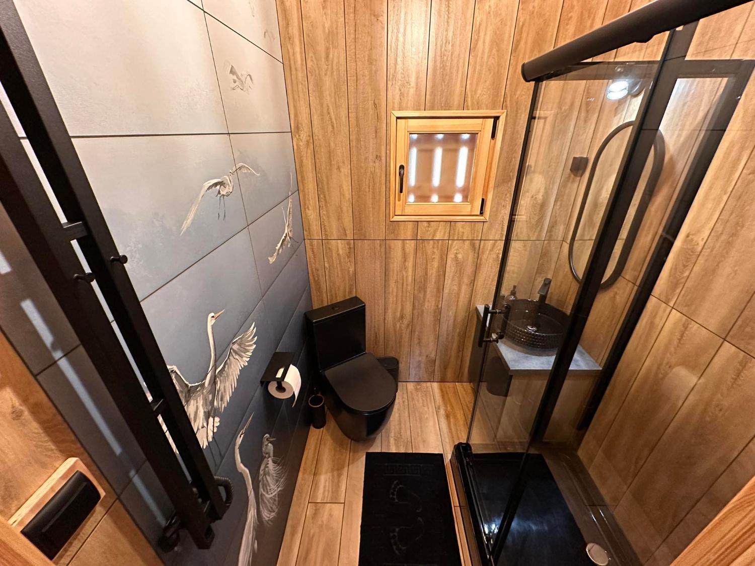 Bathroom 4, Stary Las Siemczyno, Drawsko