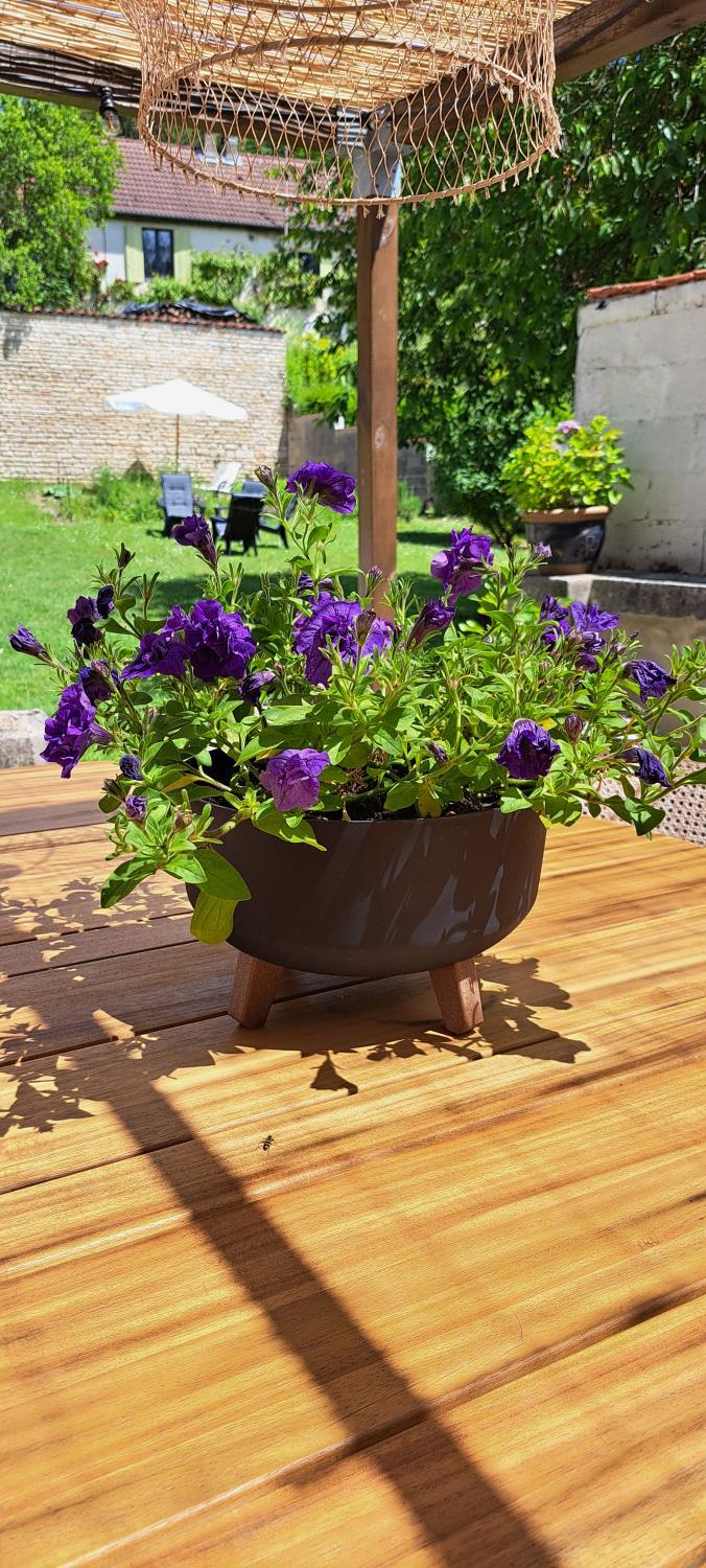 Garden 5, Chez MoBi, Aube