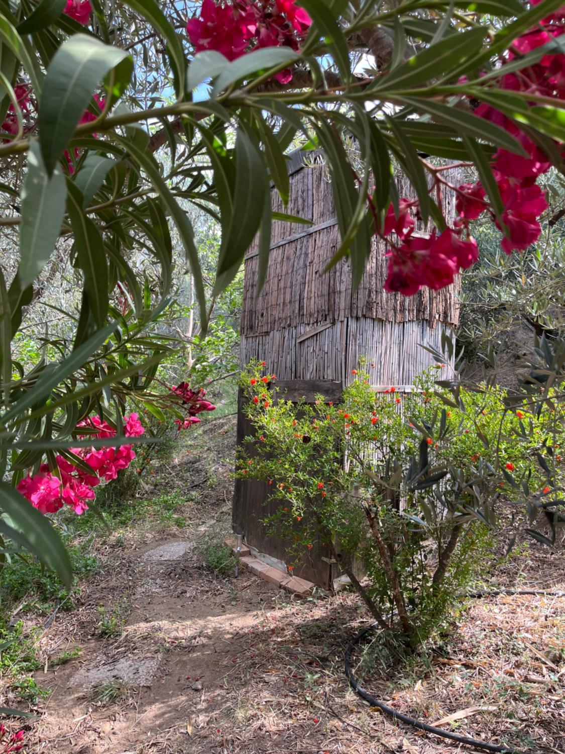 5, El cortijo alhijra, Granada