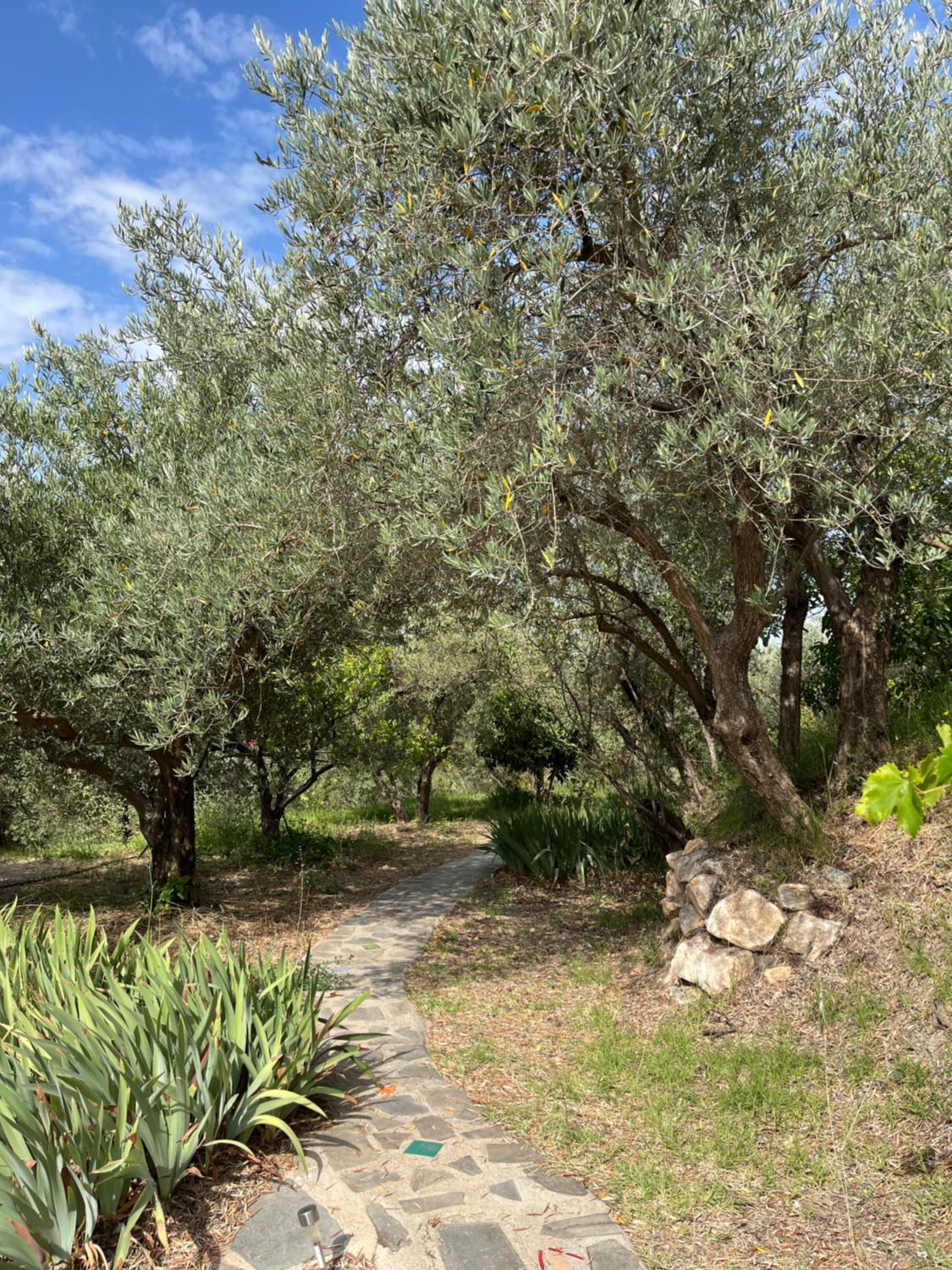 2, El cortijo alhijra, Granada