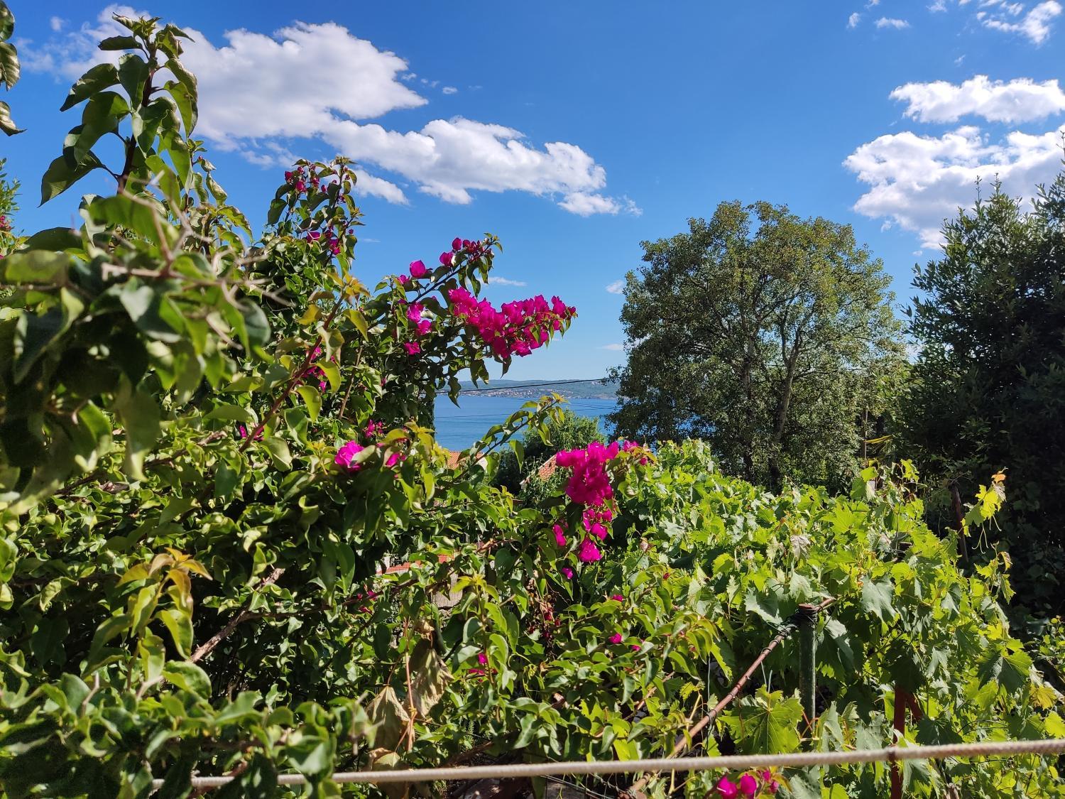 View 3, Apartments Garden-Sea View with terrace, Crikvenica