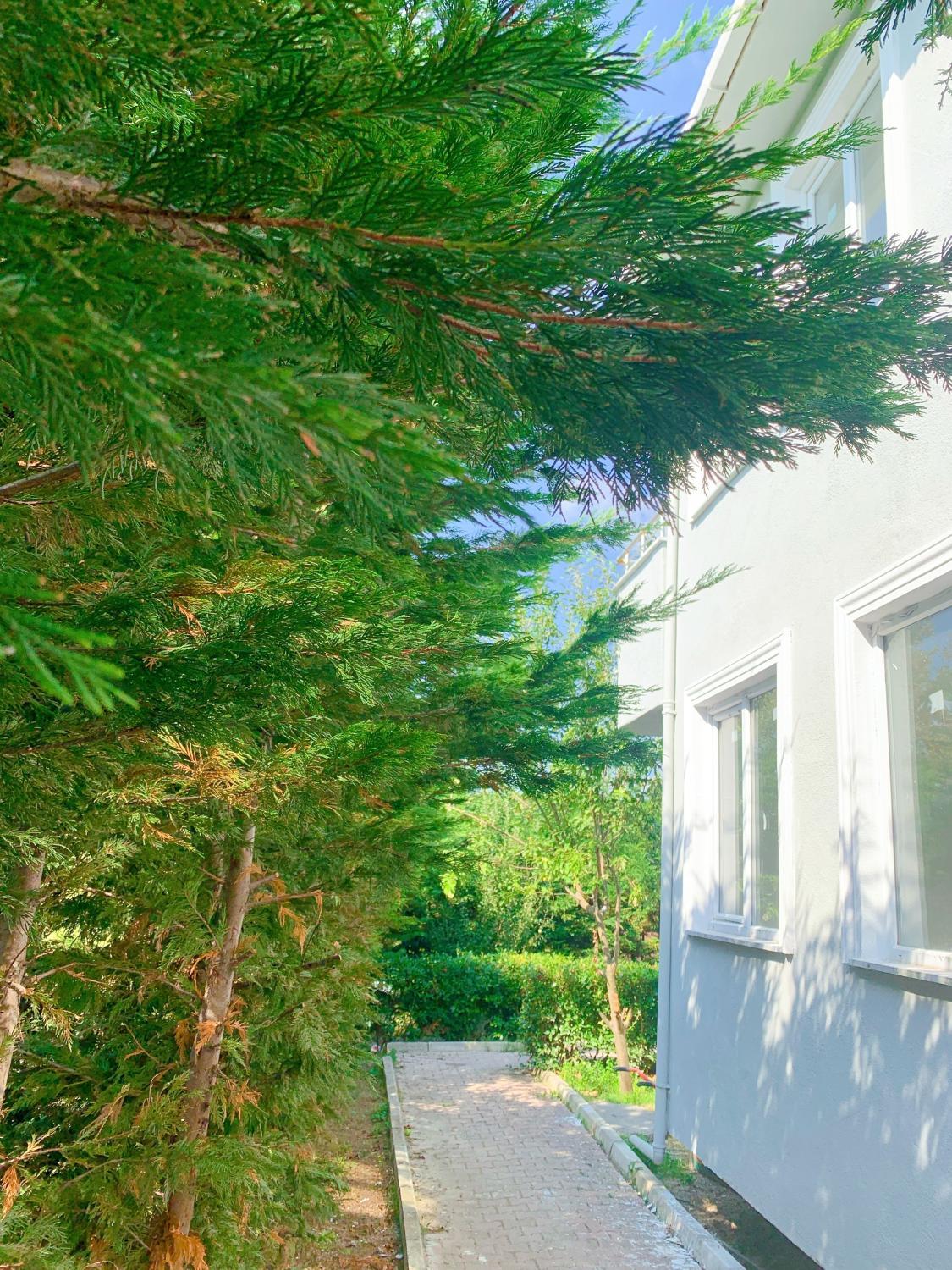 3, YusufHotel, Arnavutkoy