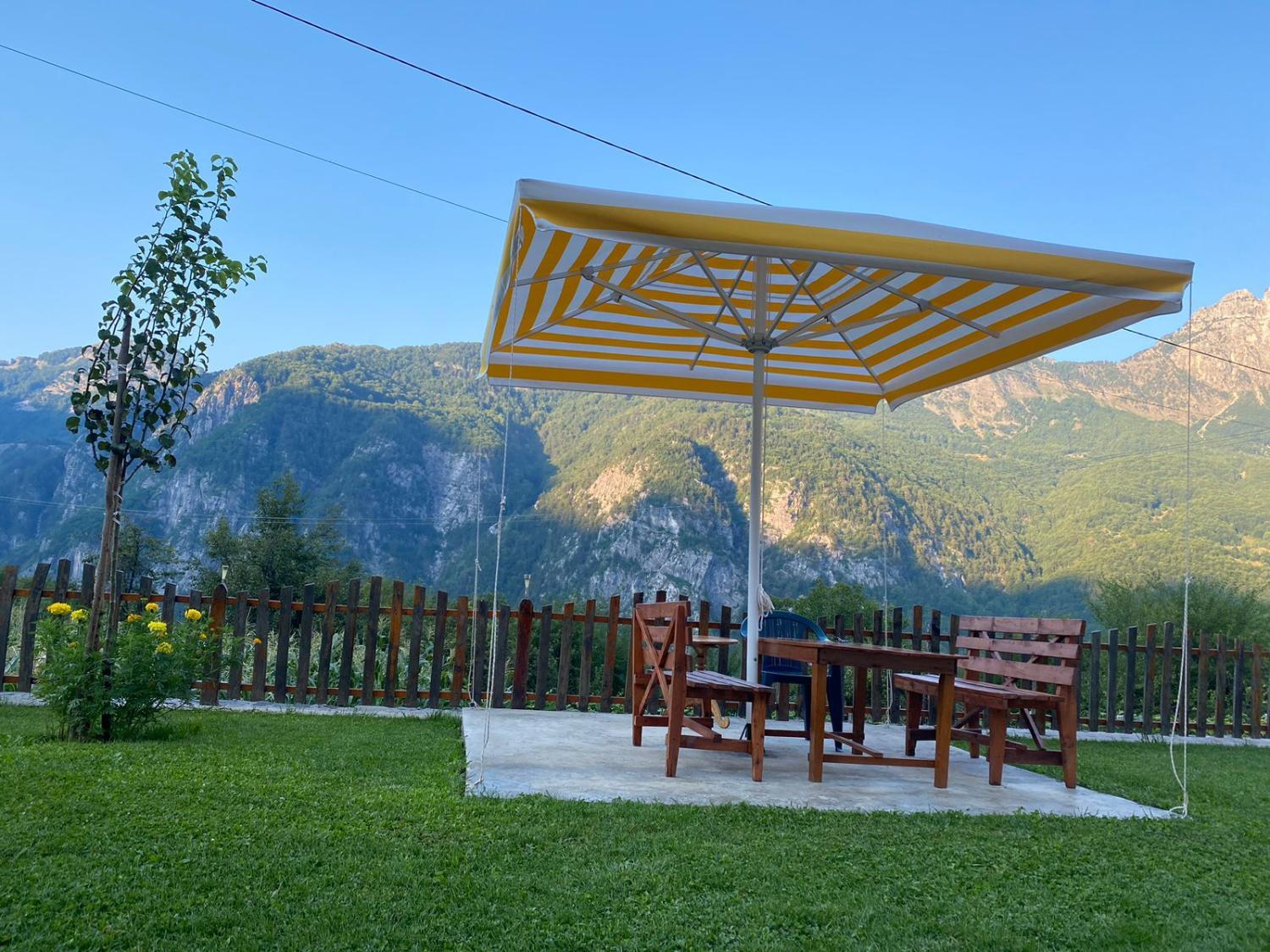 2, Tom Shyti, Shkodrës