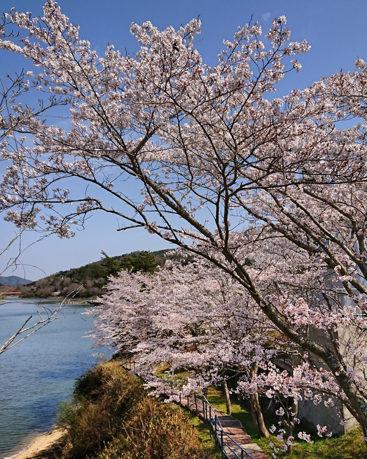 View 2, ホテル白竜湖リゾート, Higashihiroshima