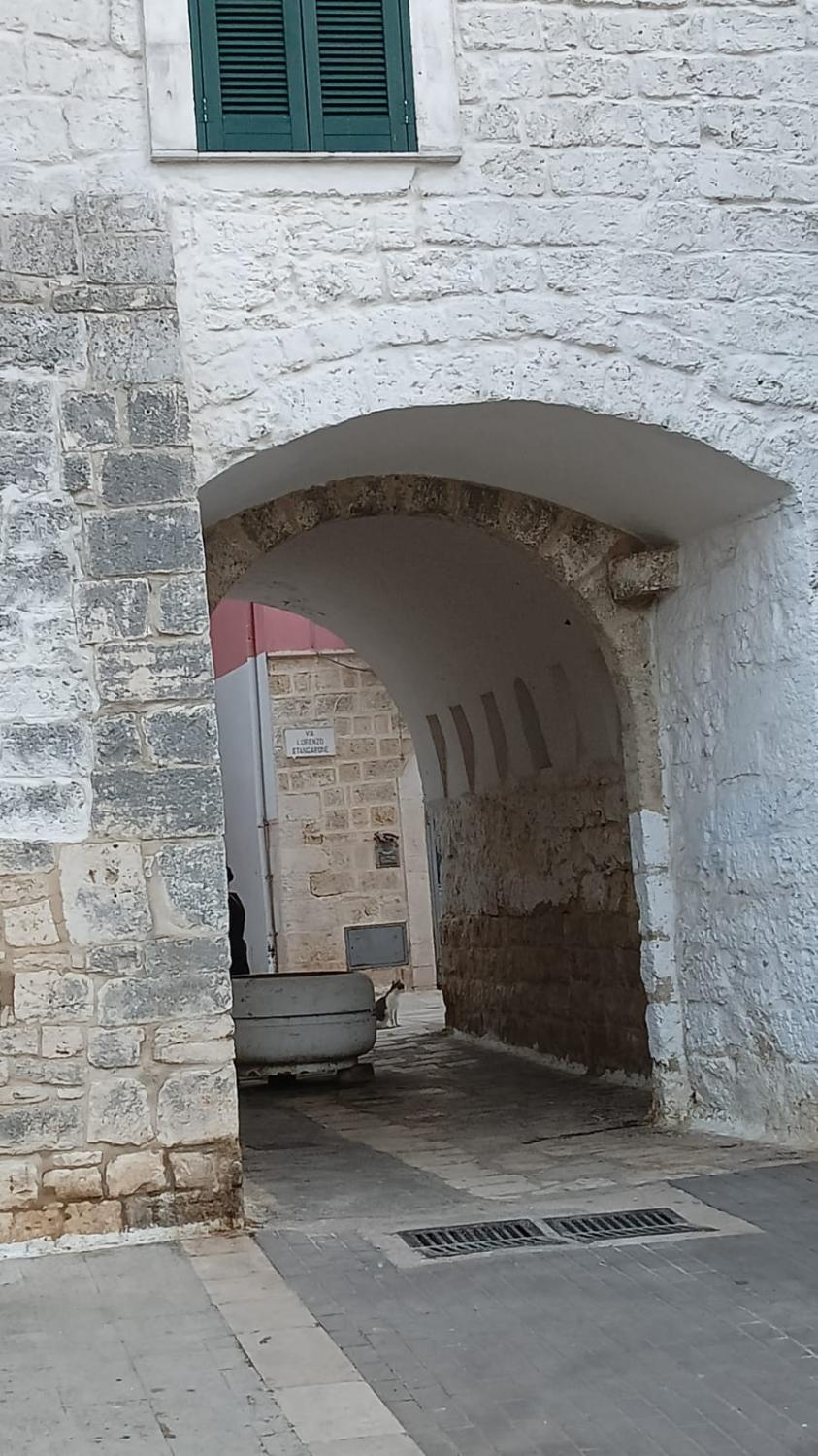 5, B&b1820FF, Bari