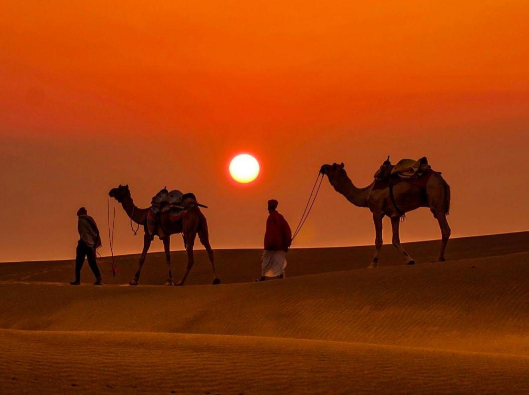 5, Vistara Holiday Inn Desert Camp, Jaisalmer