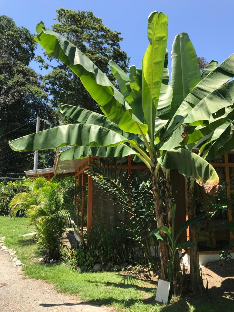 5, Alojamiento Xochitl, Talamanca