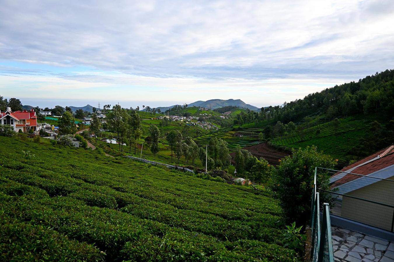 Surrounding environment, Fern Ville Ooty, The Nilgiris