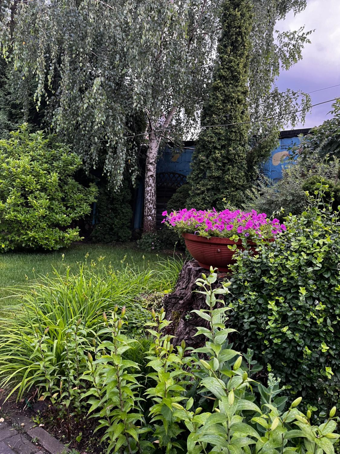 Garden 3, Kamienica Centrum, Suwałki