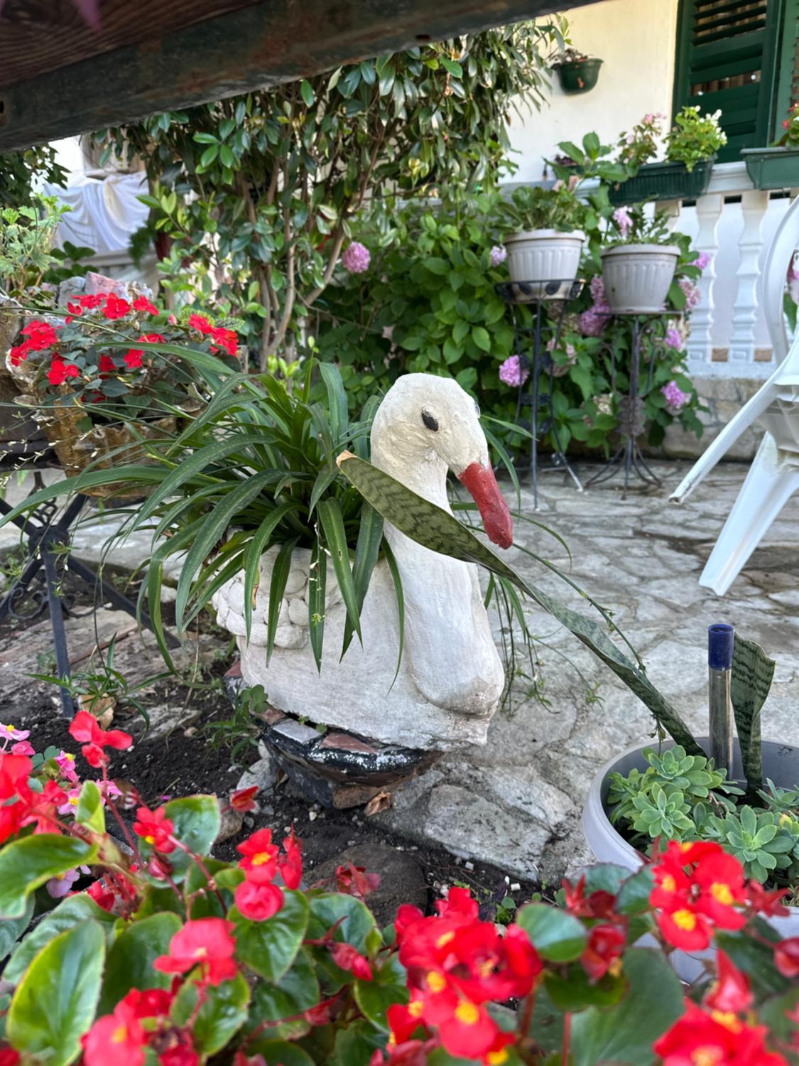 2, Garden Guest House