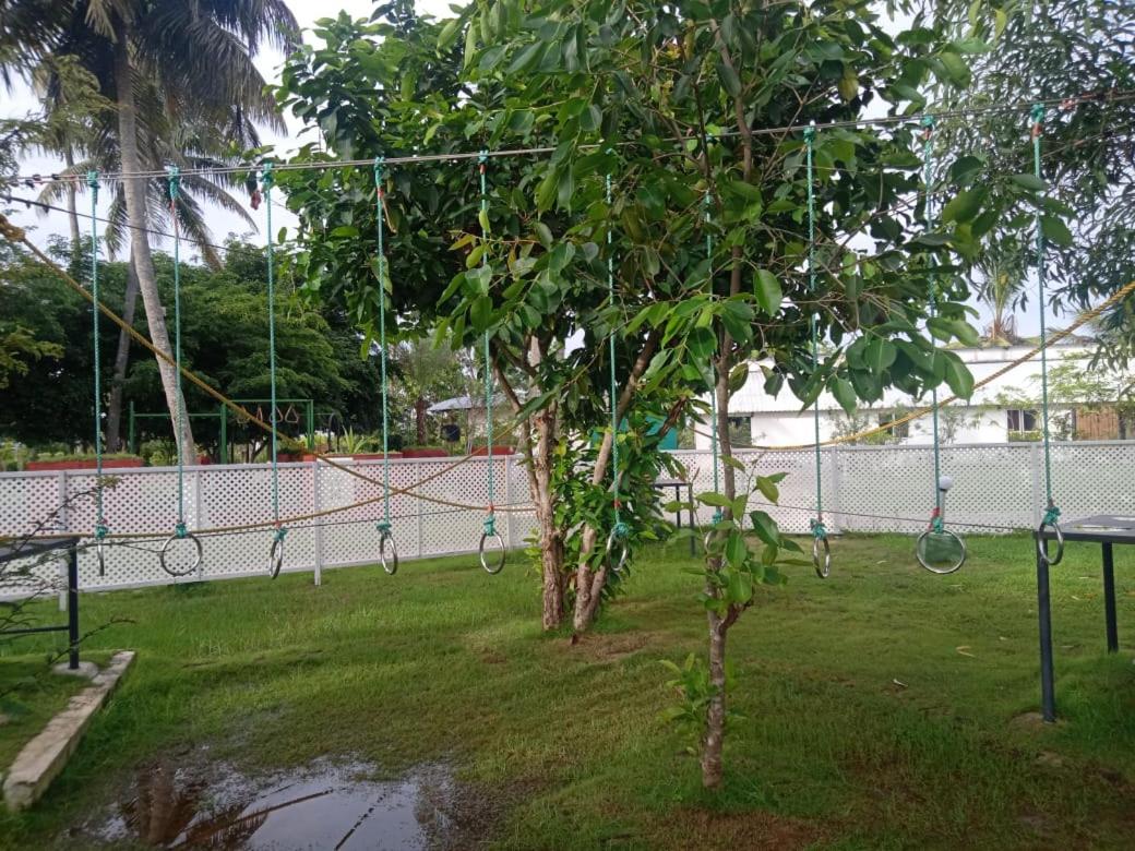 Attractions 5, Boche Island By Oxygen Resort, Ernakulam
