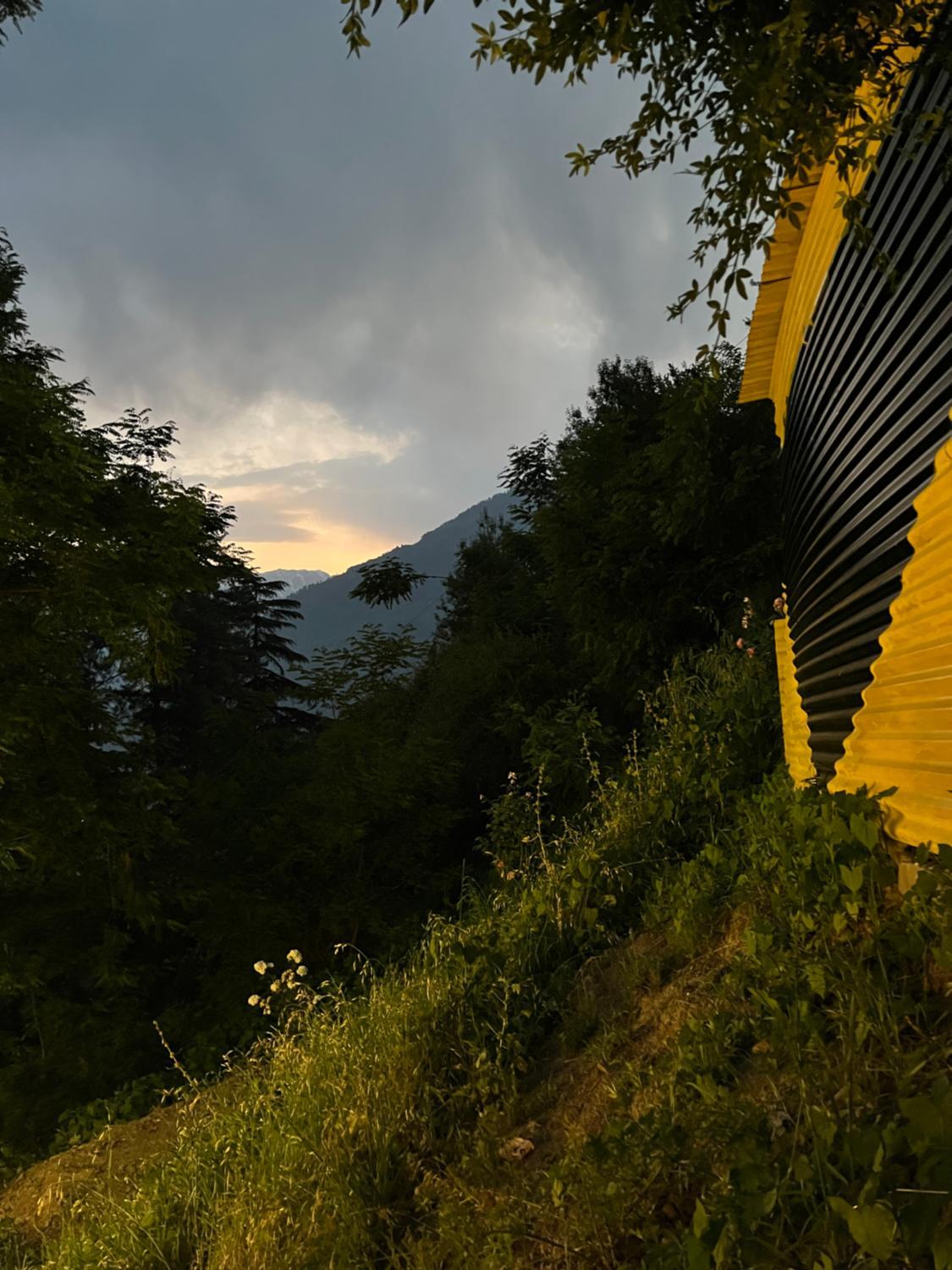 3, jungle vibes hostel naggar, Kullu