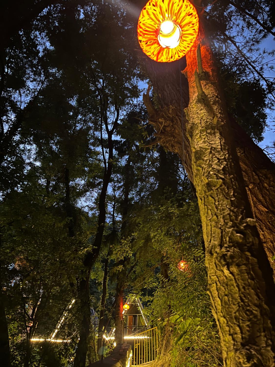 4, jungle vibes hostel naggar, Kullu