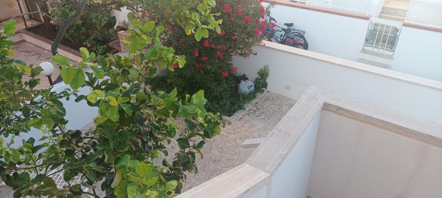 4, Mare Fuori Suite, Trapani