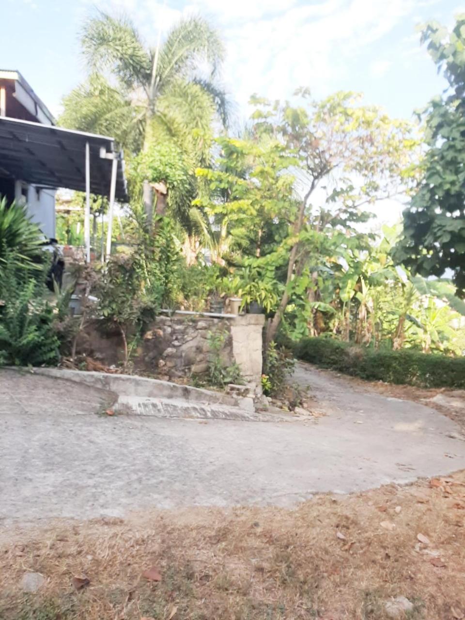 Garden, Villa Tasya, West Manggarai