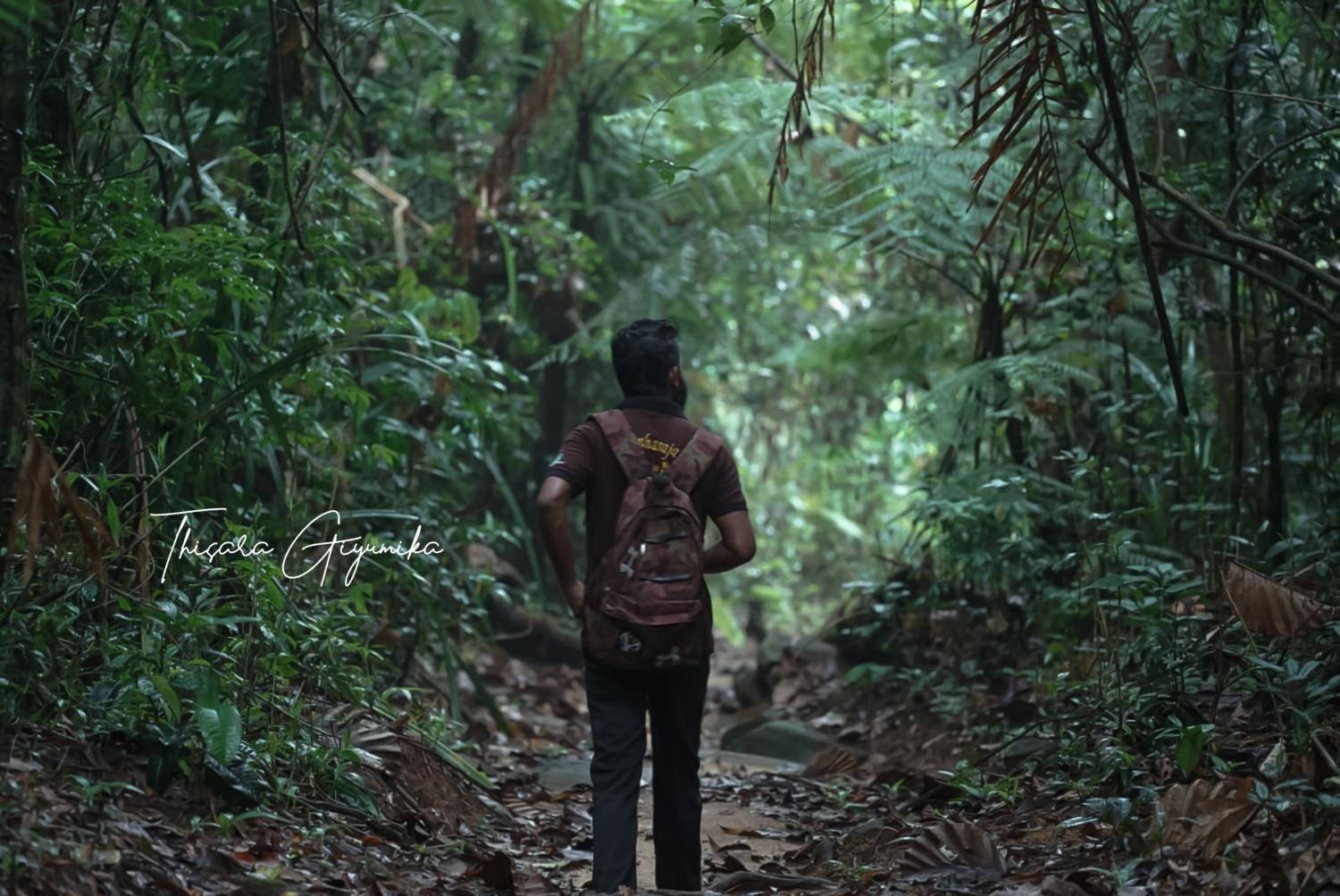 Surrounding environment 5, Rainforest view villa, Kotapola