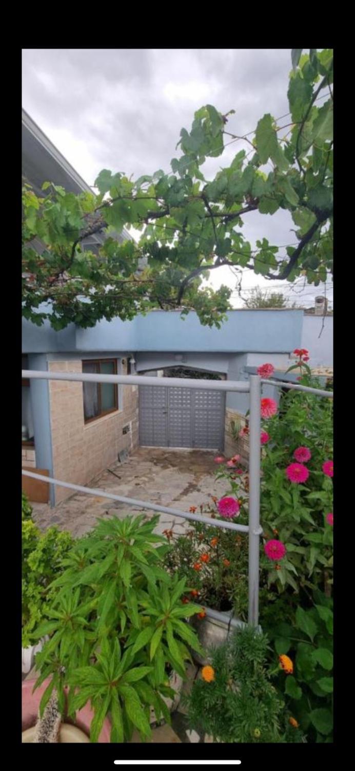 5, Lukas, Gjirokastrës