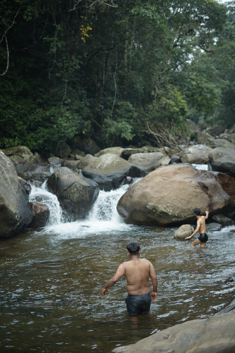 5, willowCreek, Wayanad