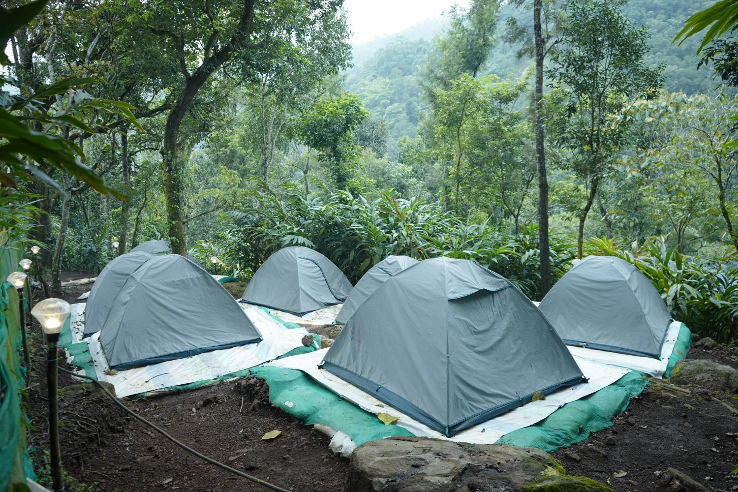 4, willowCreek, Wayanad
