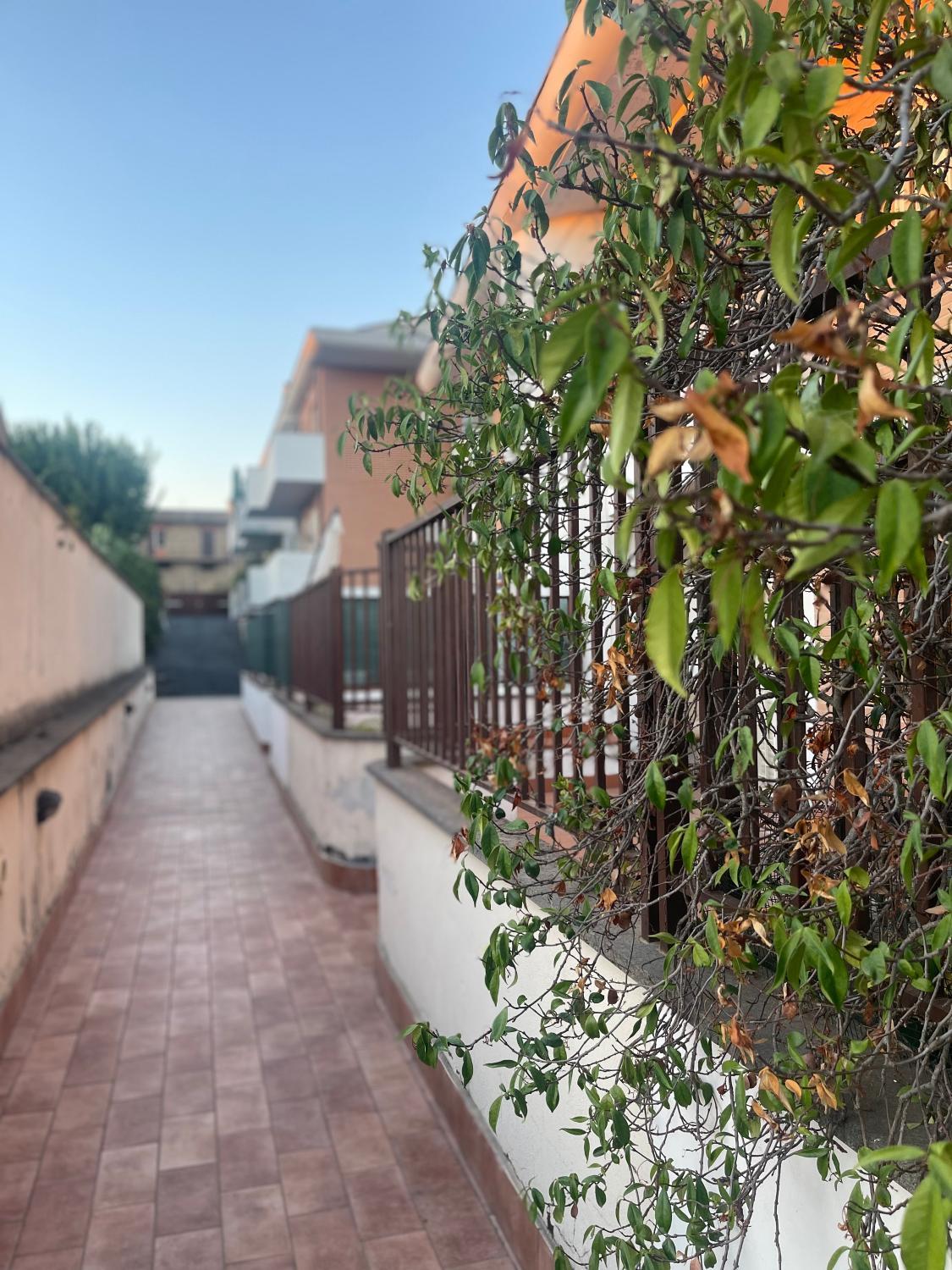 2, Helen house, Rome