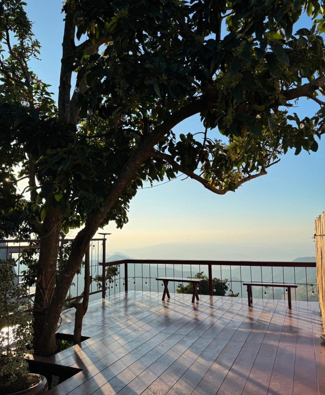 View
