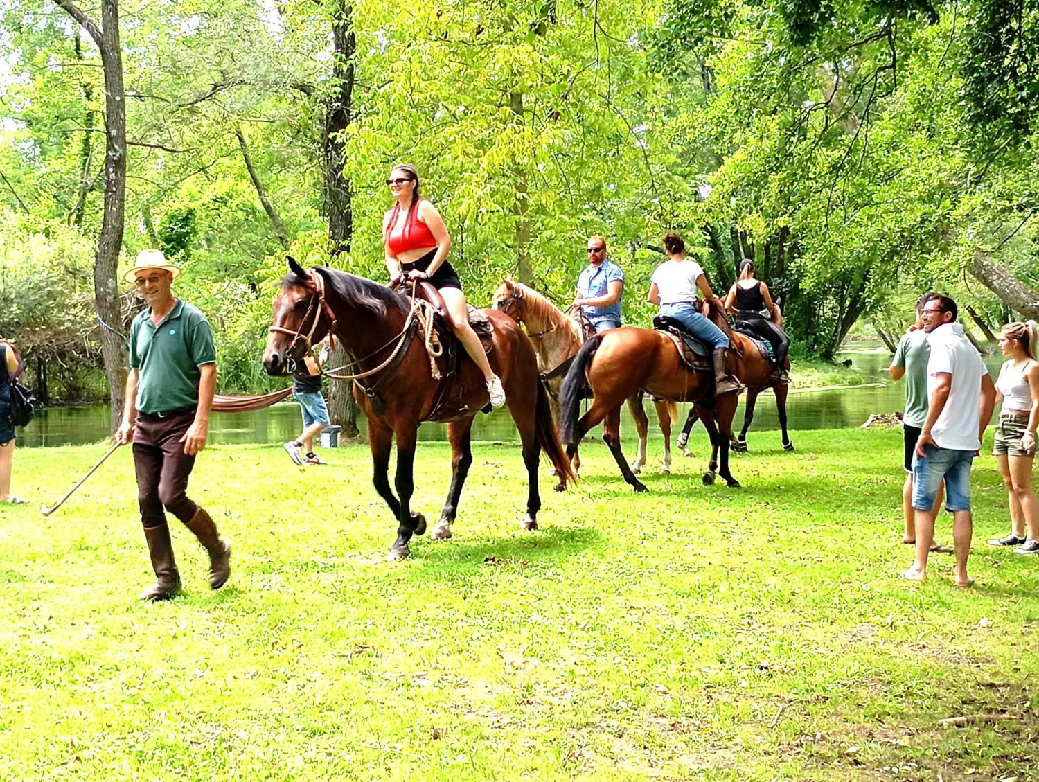 Horseback riding 2, La Regina del Bosco, Udine