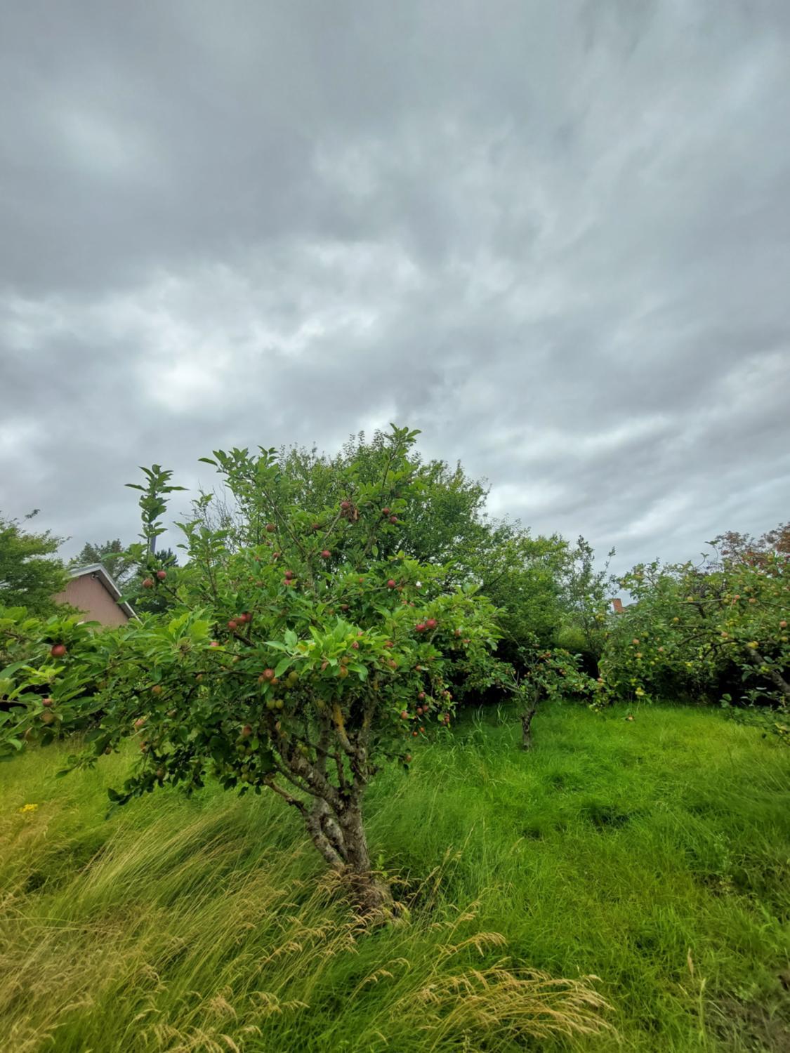 Garden 4, 55retro B&B, Hedensted