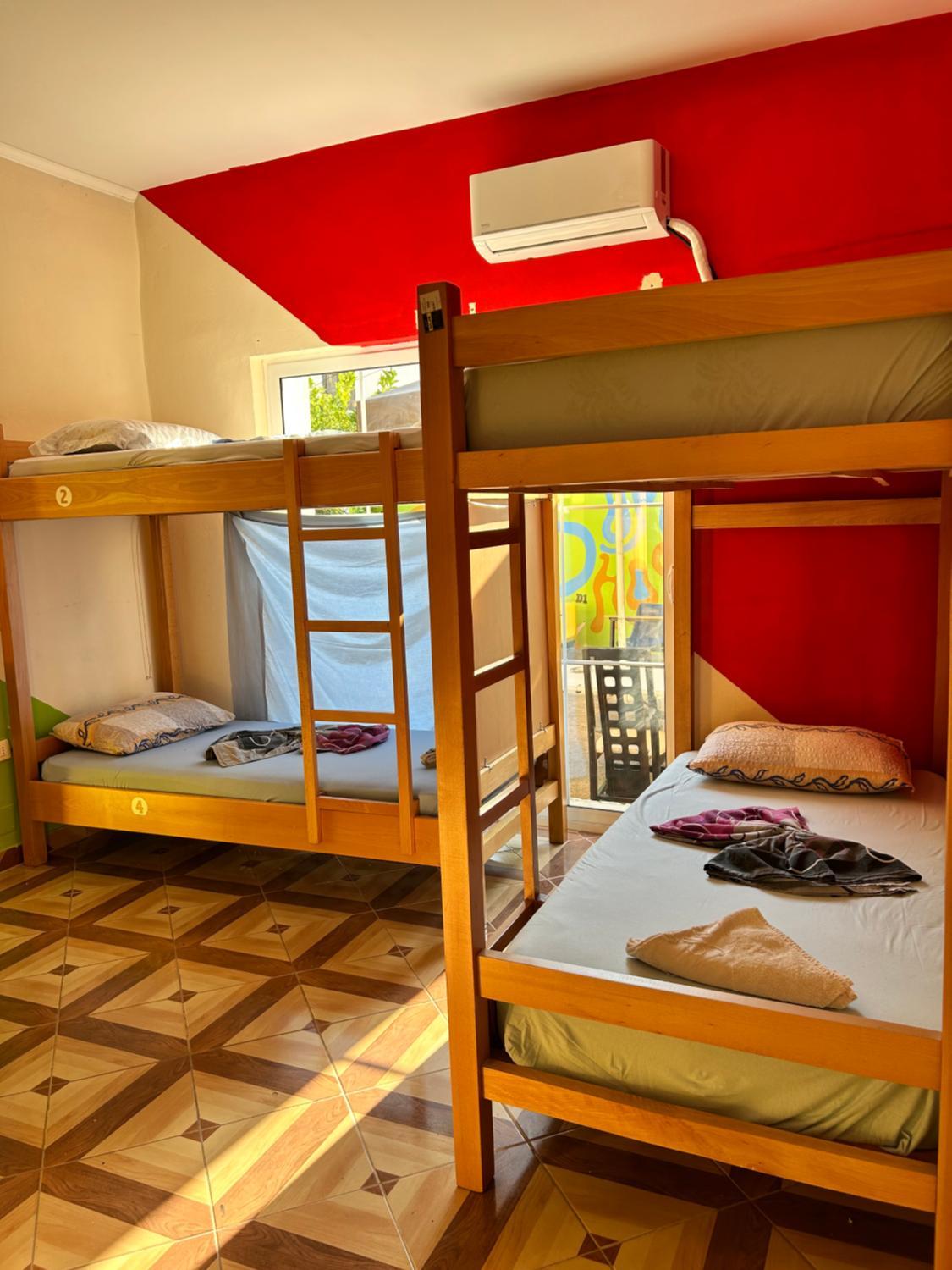 1, D1 Experience Hostel, Tiranës