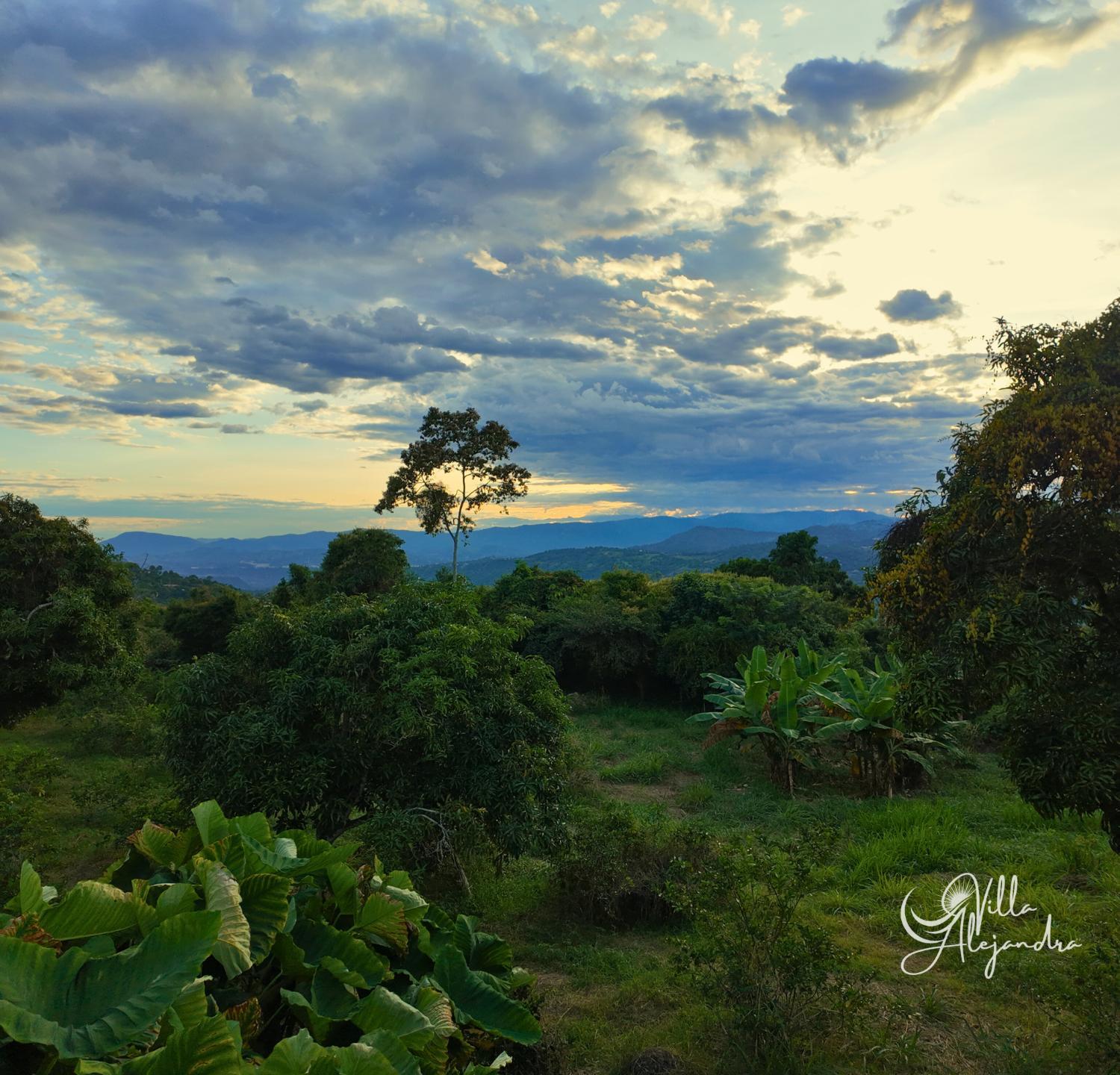 View 3, Finca Hotel Campestre Villa Alejandra, El Colegio