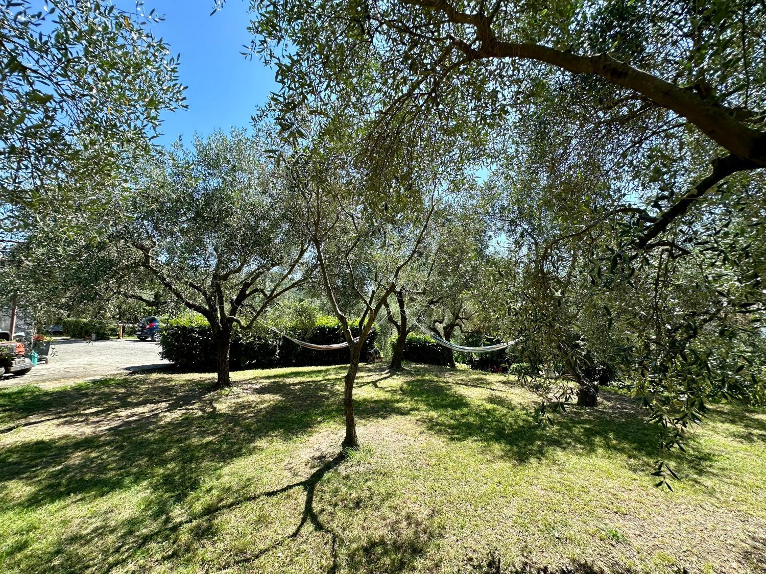 Garden 5, Agriturismo Uliveto Bartolomeo, Genova