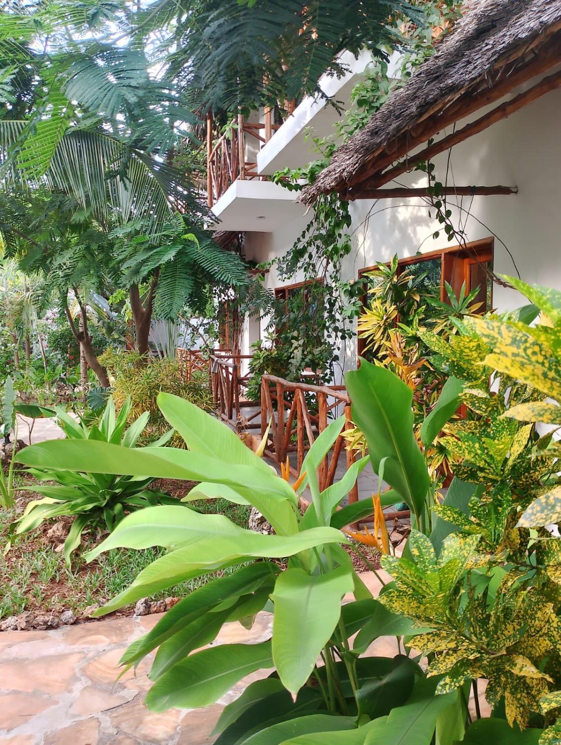 4, Tropical Paradise, Kisarawe