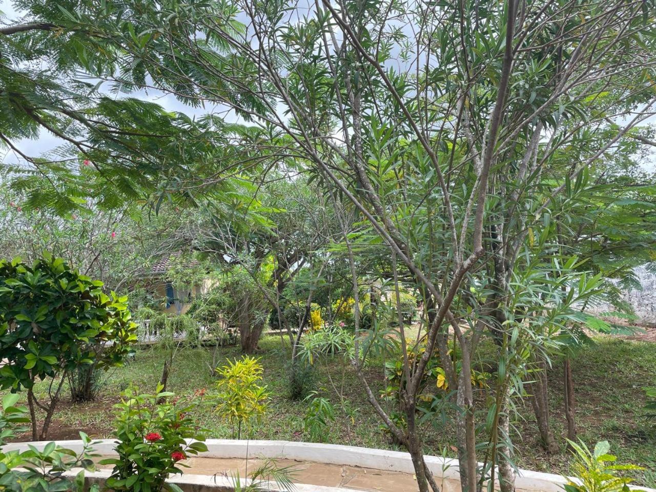 2, Serena Oasis, Msambweni
