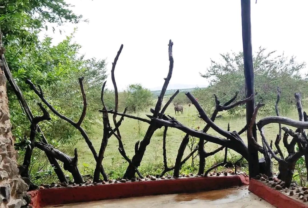 4, Kaleku bush house, Narok West