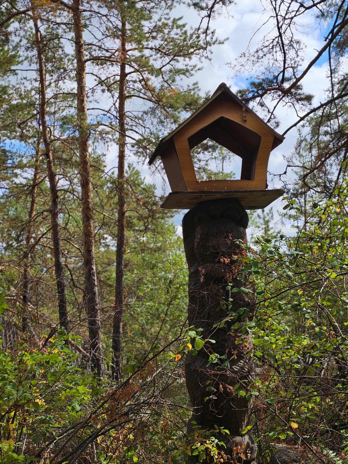 5, Отель Ар Аи, Shuchinskiy