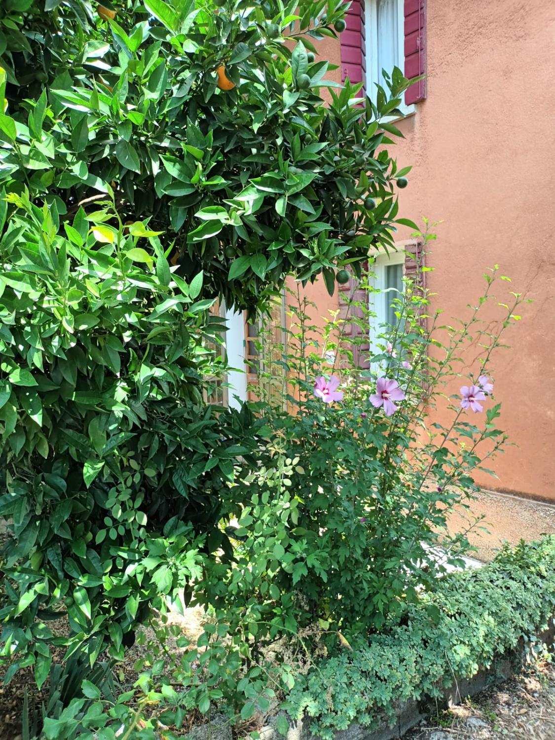 2, CASTEL VIEW self service breakfast included, Treviso