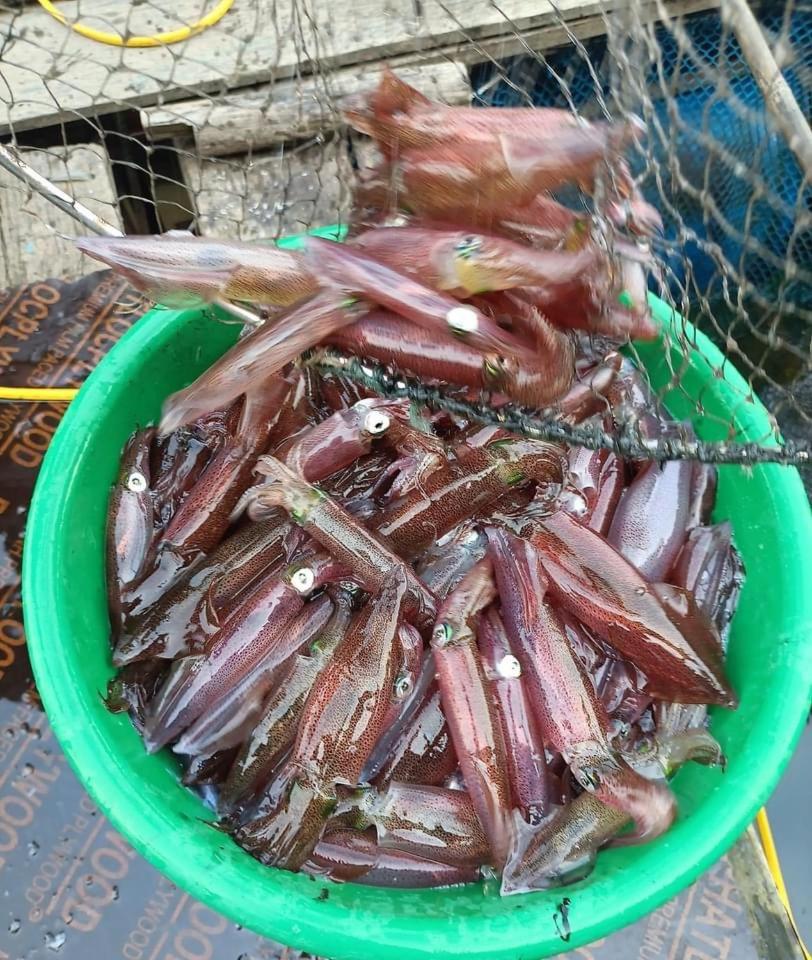2, Khach san Manh Thang, Cửa Lò