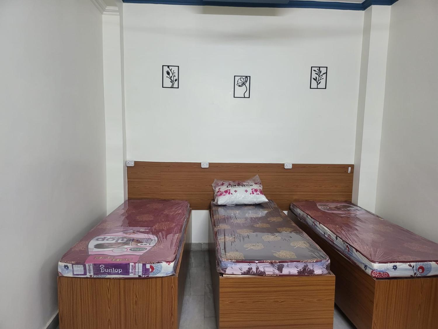3, GSM pg, Delhi