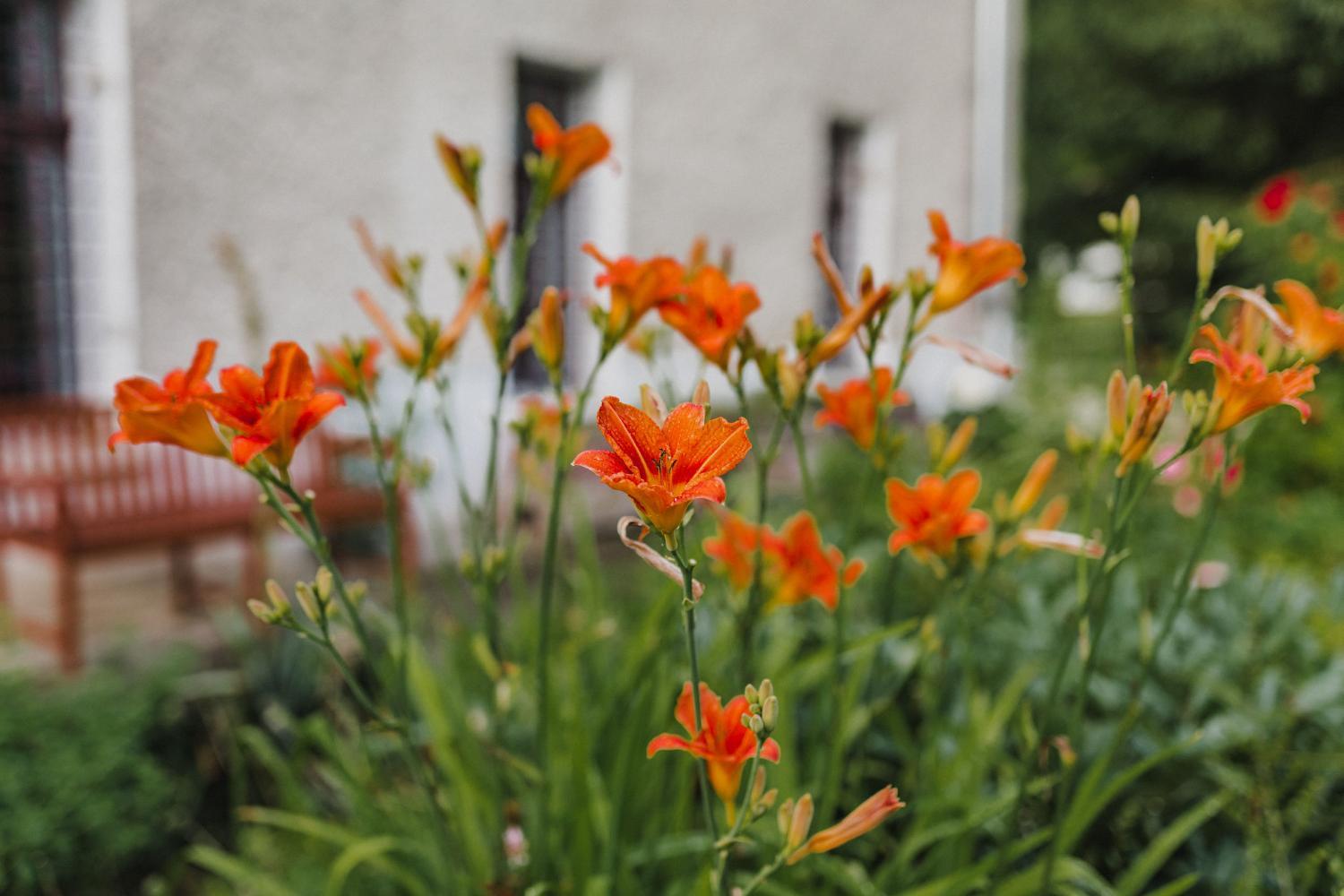 Garden 3, Lesny Dwor w Gorach Sowich, Kłodzko