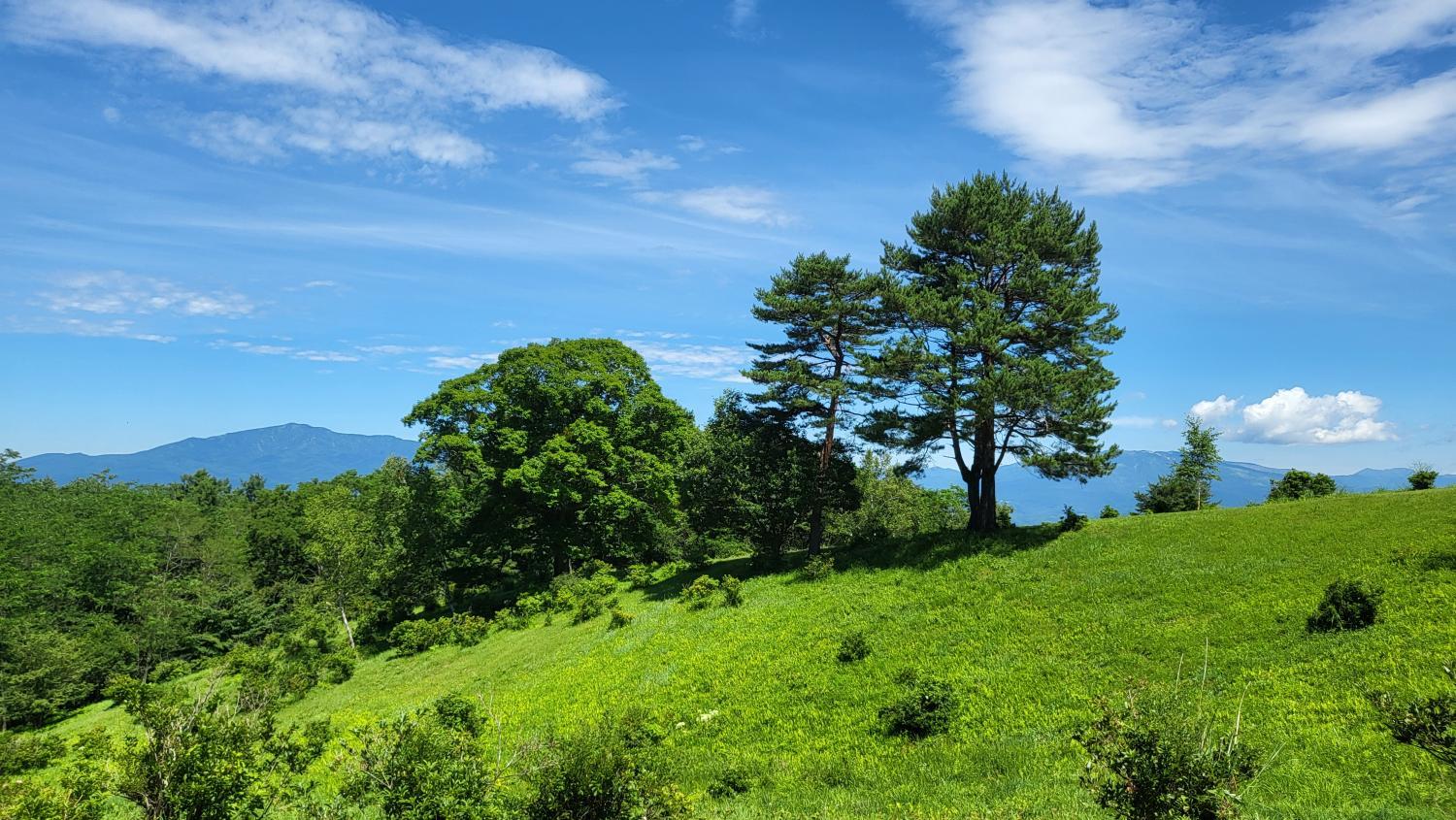 2, Summer House 軽井沢, Tsumagoi