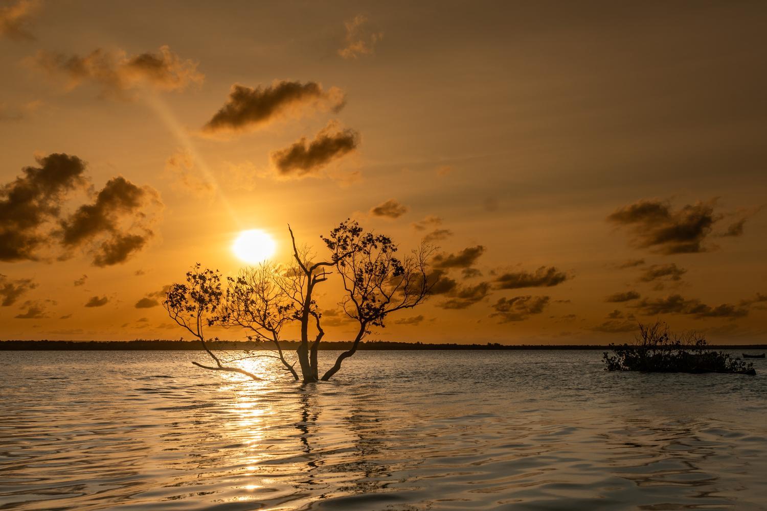 View 5, Villa Cleo met zwembad, Kilifi North