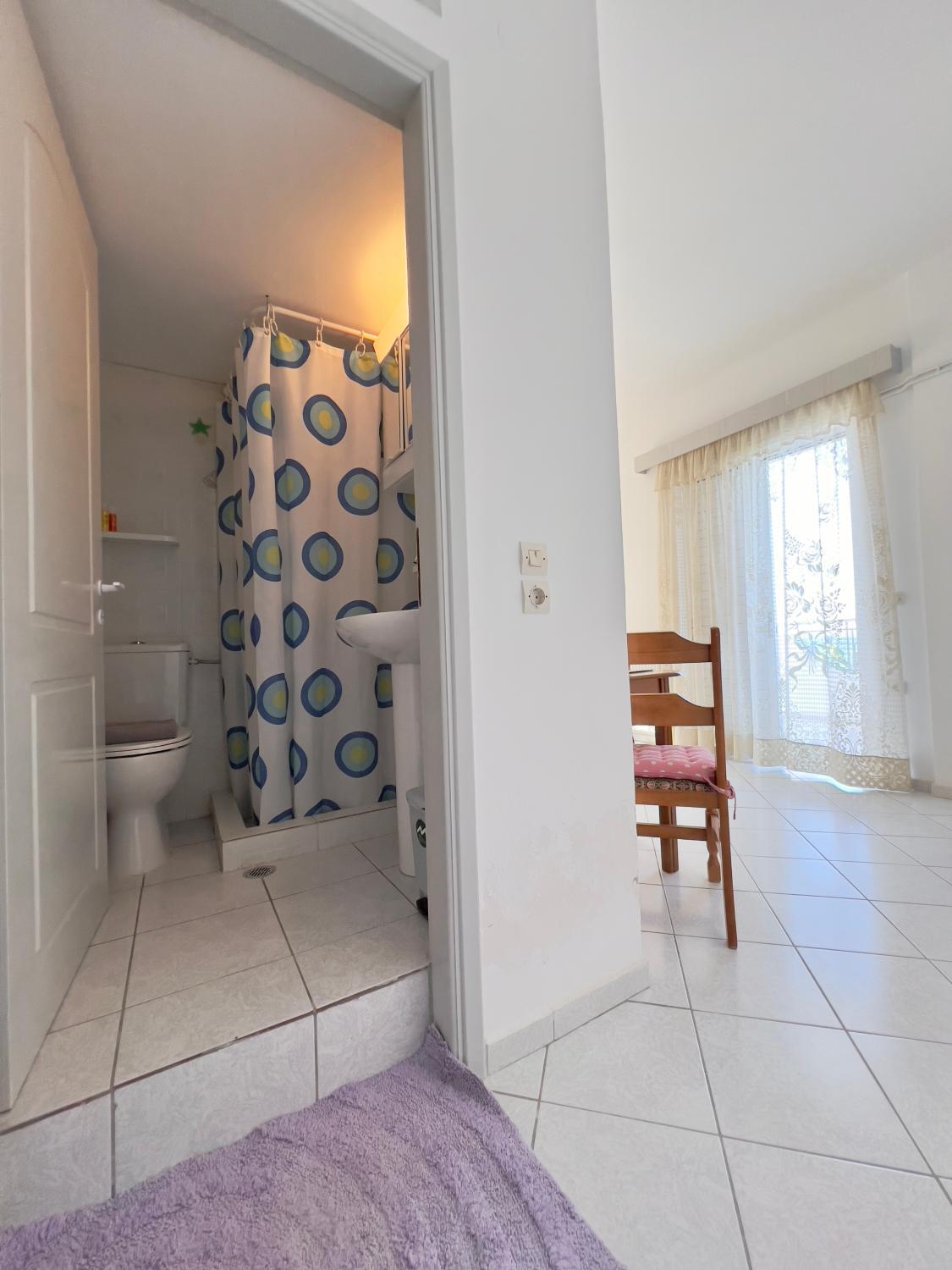 Bathroom 4, Chiliadou Cosy Apartments, Central Greece