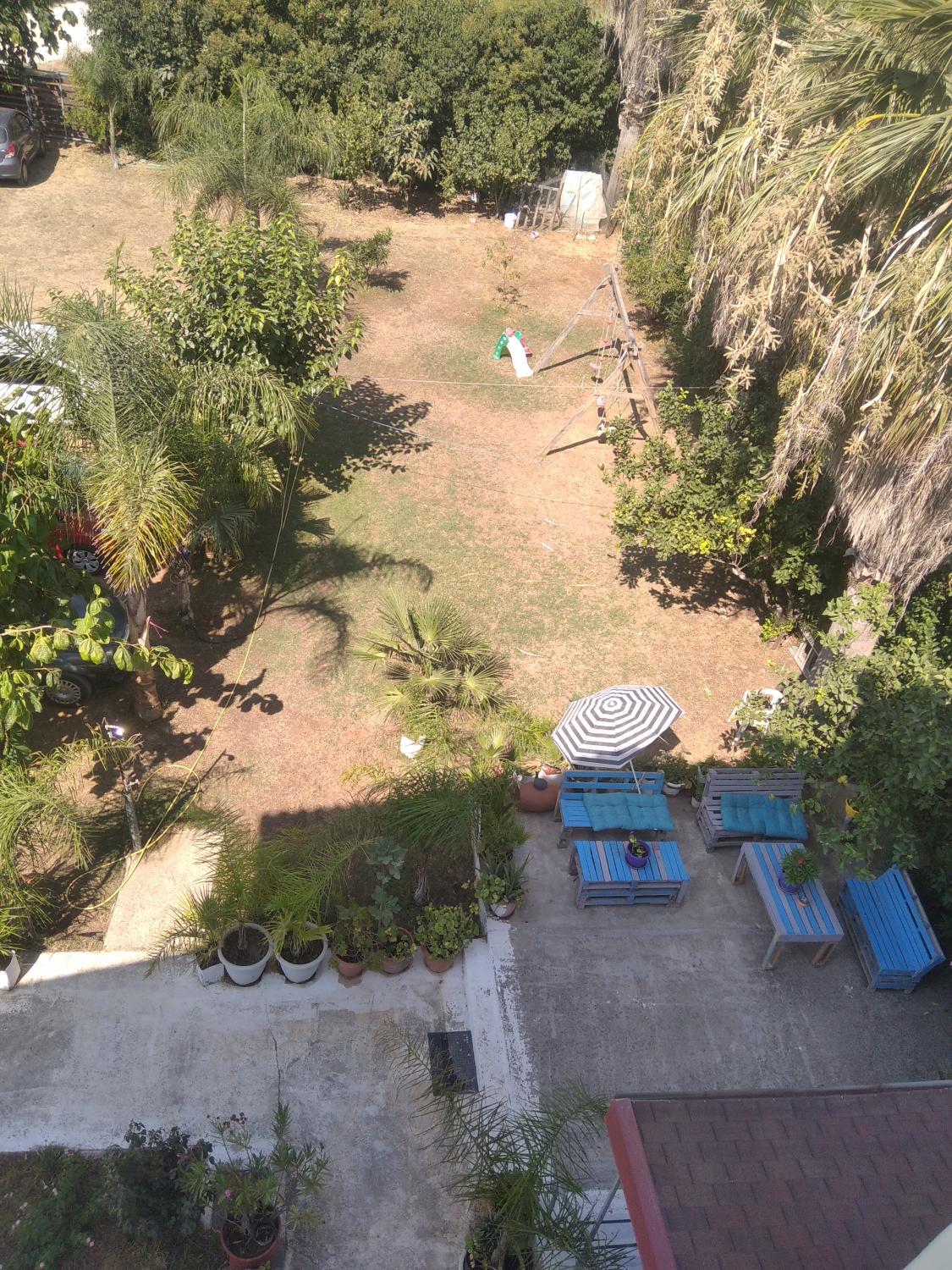 Garden, Amarillis, Epirus