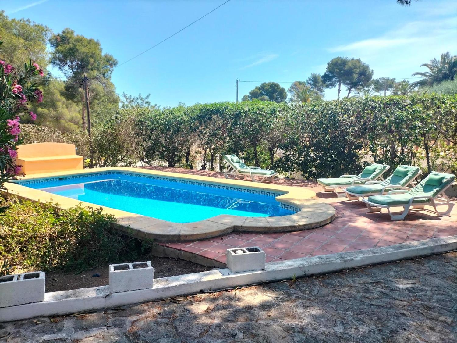 Facilities 2, Poppy, Alicante