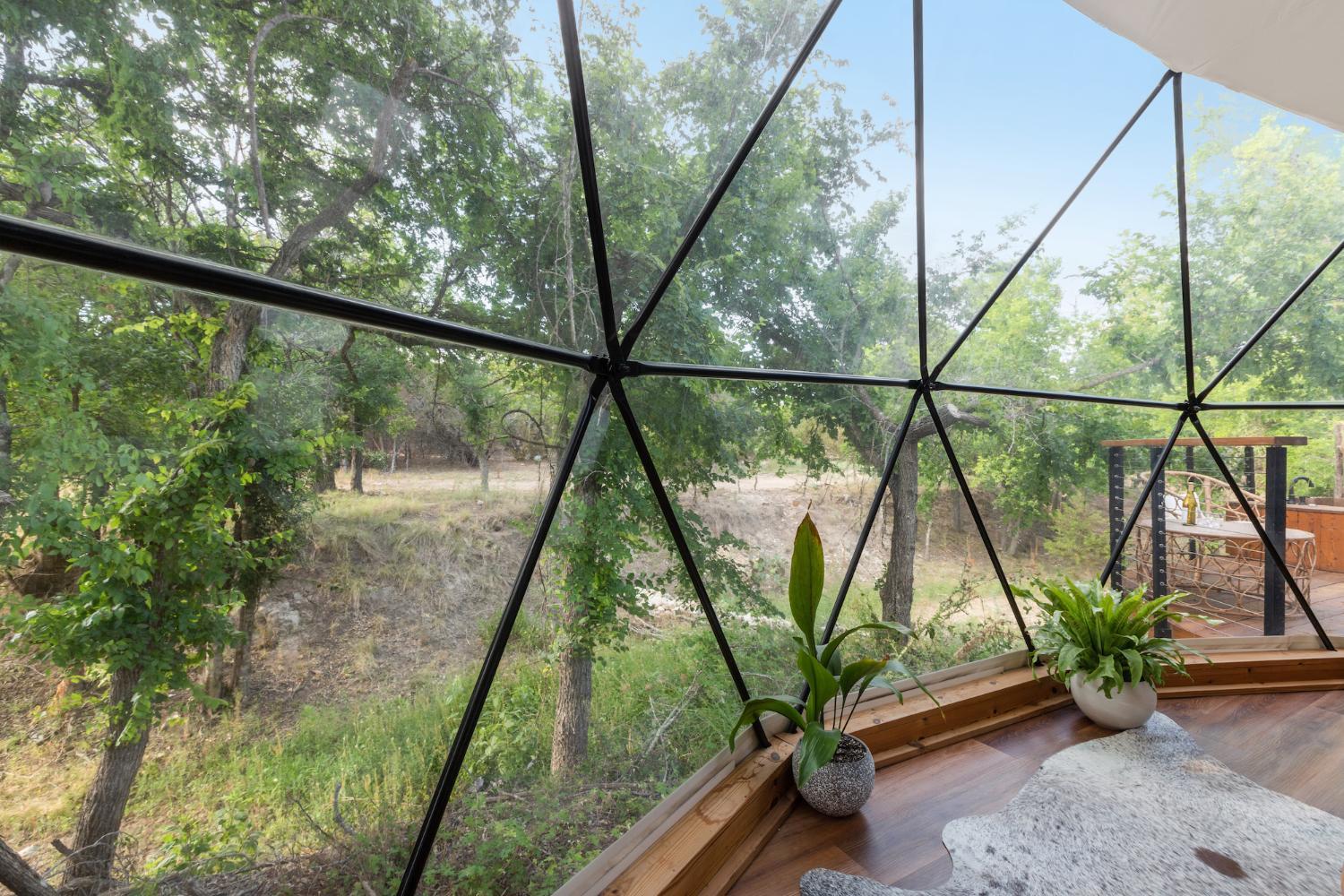 3, Lantana Dome by Onera, Gillespie